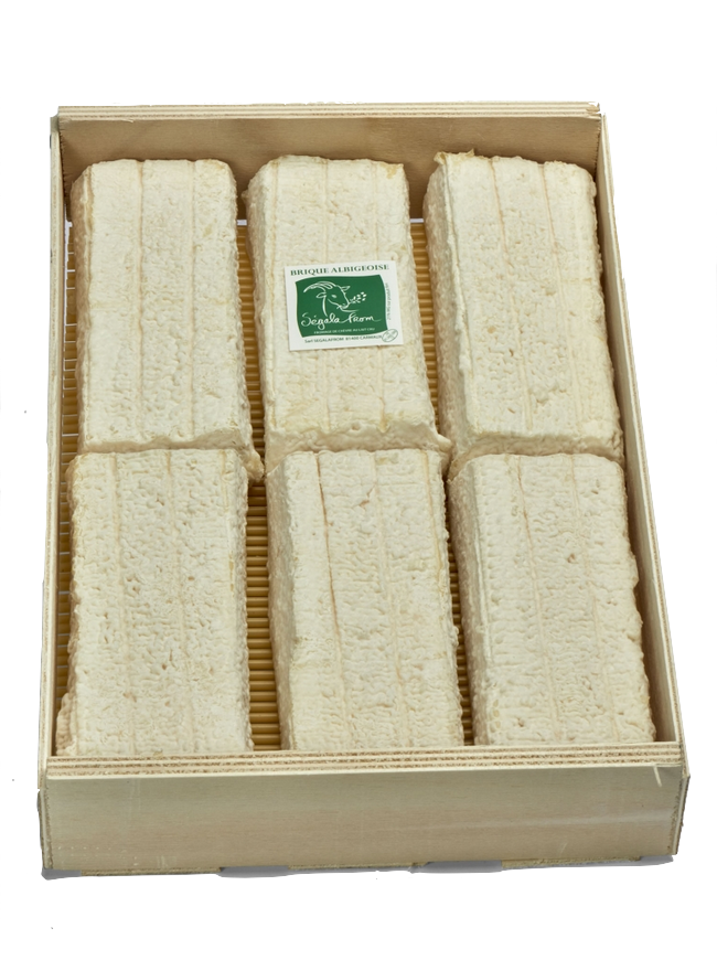 Brique Albigeoise SM - 250g x 6