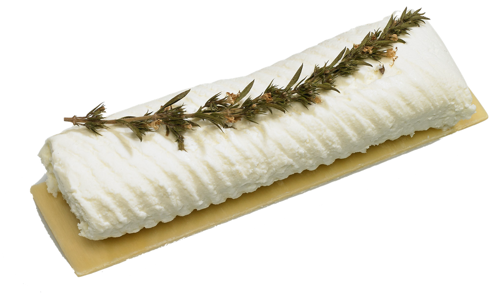 Buchette de chevre TS - 100g x 8