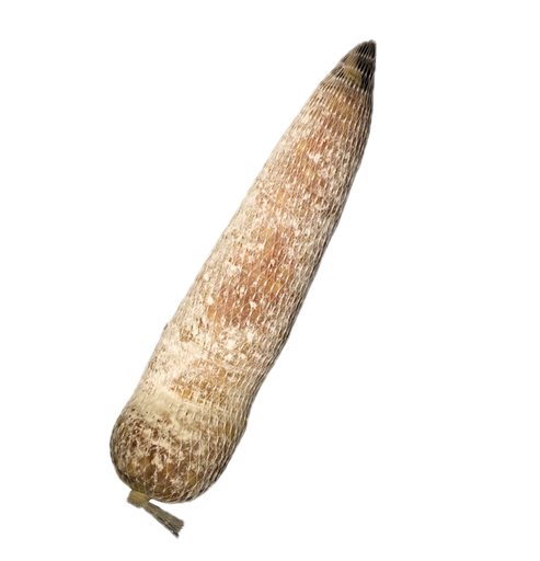 [1910001] Baton de Stevenson SP - 200g x 10