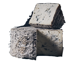[2004003] Bleu de la Boissiere Fermier TY - 2,2Kg x 2